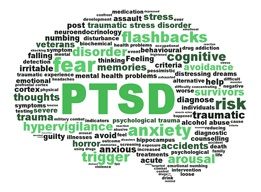 Interesting moment ptsd and sexual arousal Regret, but ptsd and sexual arousal regret, that